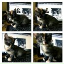 Фотография Антипенко Светланы