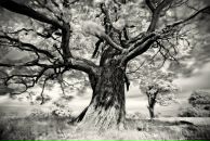 Фотография Парамоновой Ирины