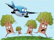 Фотография Тараторина Александра