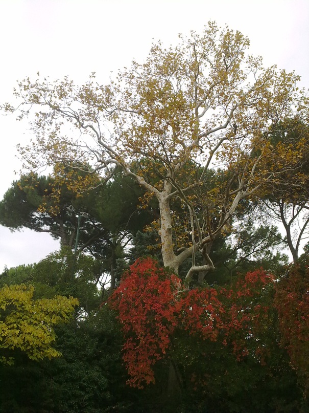 Сергей Савченко фотография #41