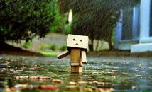 Фотография Свиридова Алексея