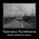 Сергій Цілуйко фотография #33 (источник - https://vk.com/id140981887)