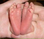 Фотография Чистяков Александр