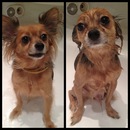 Діана Шаповалова фотография #50 (источник - https://vk.com/id304410685)