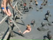 Фотография Белоусова Дениса