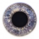 Фотография Никишаева Паши