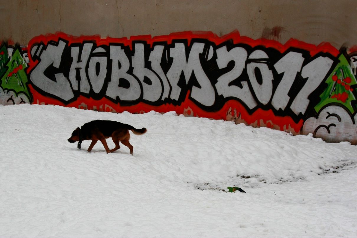 Катя Мищенко фотография #19