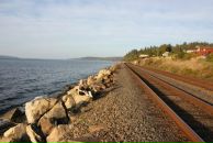 Фотография Kozhevnikova Marina