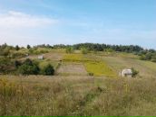 Віктор Шевченко фотография #31 (источник - https://vk.com/id24893271)