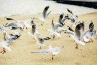 Аня Холст фотография #25 (источник - https://vk.com/id1481081)