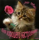 Юля Марків фотография #47 (источник - https://vk.com/id132234243)