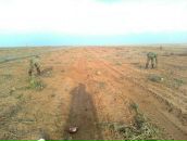 Иван Павлов фотография #49 (источник - https://vk.com/id361896)