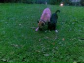 Дмитрий Мишин фотография #6 (источник - https://vk.com/id3219742)