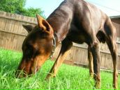 Чудік_в Кедіках) фотография #24 (источник - https://vk.com/id95761275)