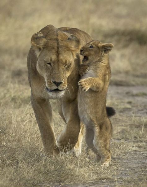 Дмитрий Иванов фото №34