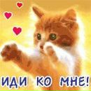 Валерія Седньова фотография #38 (источник - https://vk.com/id131703036)