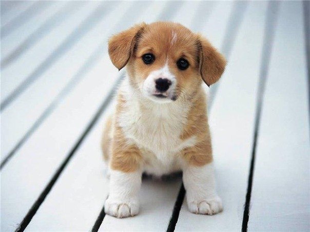 №5, Алина Михайлова №5, Алина Михайлова