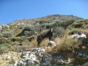 Фотография Береговой Ольги