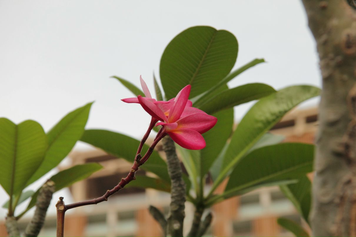 Дмитрий Симонов фотография #17