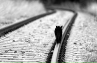 Фотография Тарасюк Ксении