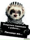 Міша Ковач фотография #35 (источник - https://vk.com/id134291916)