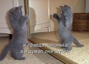 Андрий Хольвінський фотография #15 (источник - https://vk.com/id161964560)