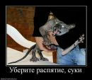Фотография Юрьевны Анны
