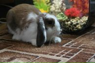 Сергей Кузьменко фотография #2 (источник - https://vk.com/id16940071)