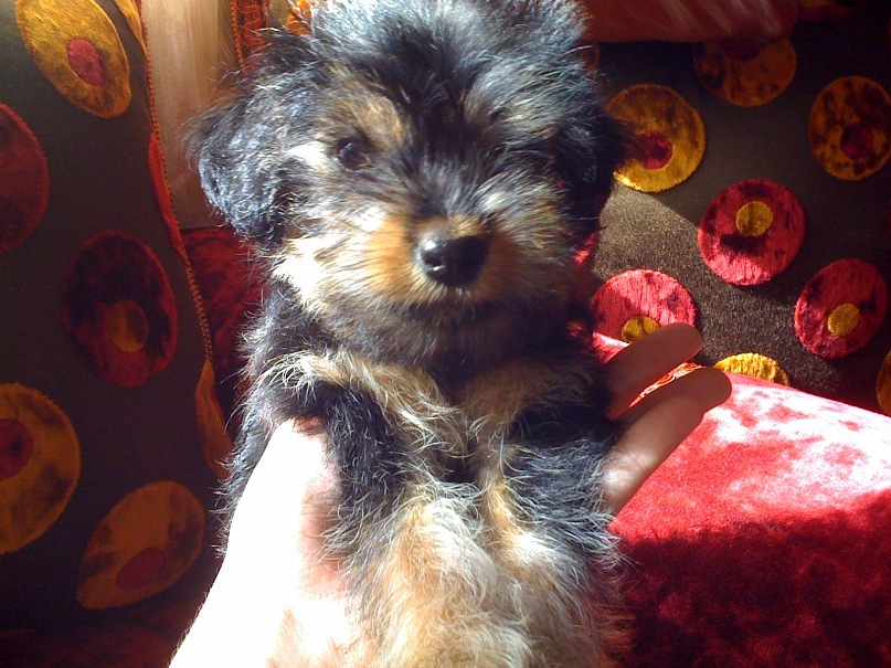 Mariya Panchenko фотография #47