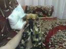 Наталія Натяжко фотография #17 (источник - https://vk.com/id88312403)