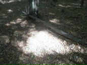 Віталій Панасюк фотография #28 (источник - https://vk.com/id67183575)