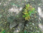 Віталій Панасюк фотография #12 (источник - https://vk.com/id67183575)