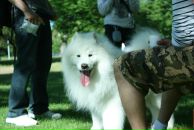 Roman Strokach фотография #15 (источник - https://vk.com/id4772718)