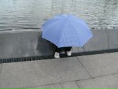 Фотография Нигаметзяновой Ксении