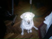 Фотография Мекишева Константина