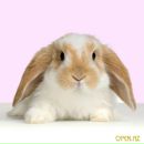 Фотография Пантуевой Нины