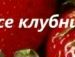 Василина Лоїк фотография #18 (источник - https://vk.com/id63655513)