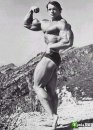 Arnold Schwarzenegger фотография #10 (источник - https://vk.com/id7532927)