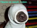 Антон Чеханте фотография #2 (источник - https://vk.com/id2406898)
