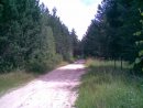 Дмитрий Шаров фотография #44 (источник - https://vk.com/id3186760)