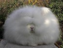 Фотография Белкиной Стаси