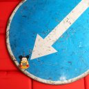 Даня Плешак фотография #24 (источник - https://vk.com/id233906)