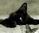 Фотография Казанцевой Виктории