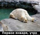 Денис Процько фотография #17 (источник - https://vk.com/id2994460)