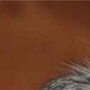 Виктор Арфеев фотография #49 (источник - https://vk.com/id38807040)