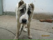 Фотография Zommer Антона