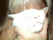 Фотография Ross Alena