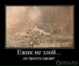 Фотография Чистякова Виталия