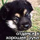 Андрій Скрипка фотография #4 (источник - https://vk.com/id169232965)