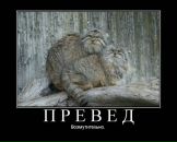 Фотография Солониной Натальи